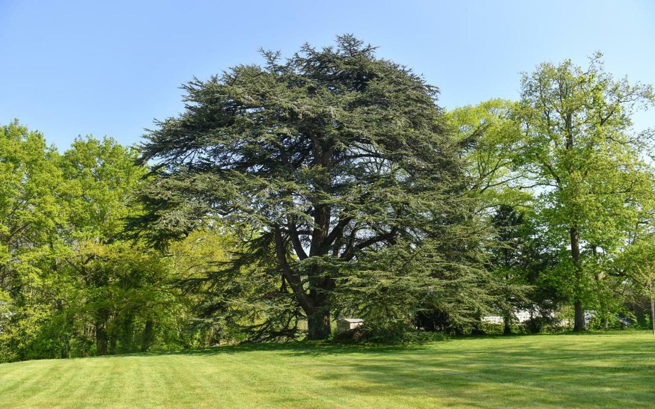 Chateau De La Grand'Cour Grandchamp-des-Fontaines Bagian luar foto